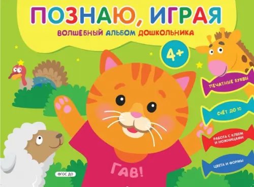 Познаю, играя. Волшебный альбом дошкольника. ФГОС ДО