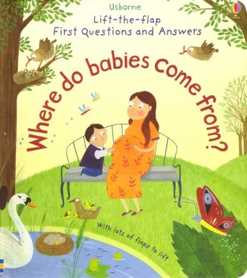 Lift-The-Flap First Questions &amp; Answers: Where Do Babies Come from? Board book