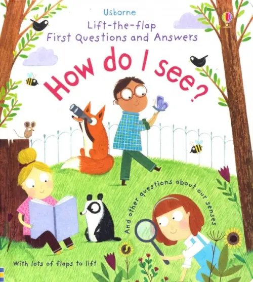 Lift-the-Flap First Questions &amp; Answers How Do I See? Board book