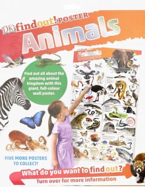 DKfindout! Animals Poster. Wall Chart