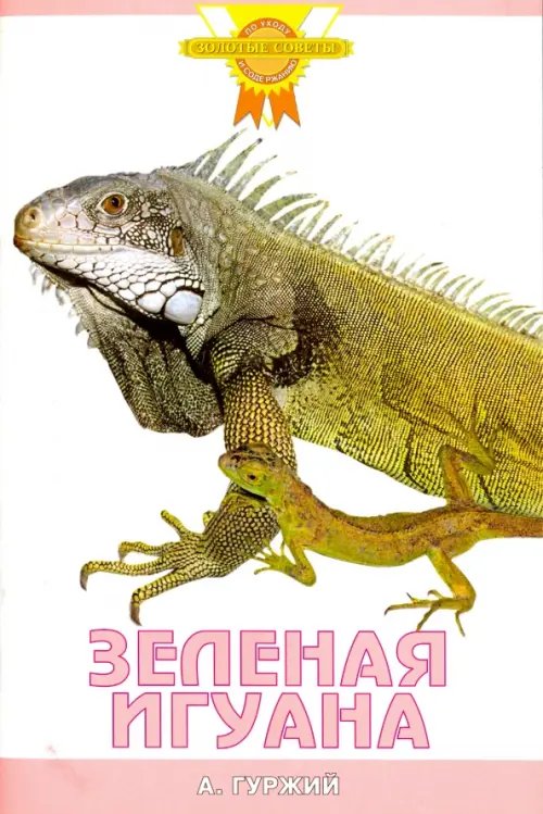 Зеленая игуана