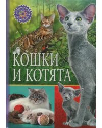 Кошки и котята