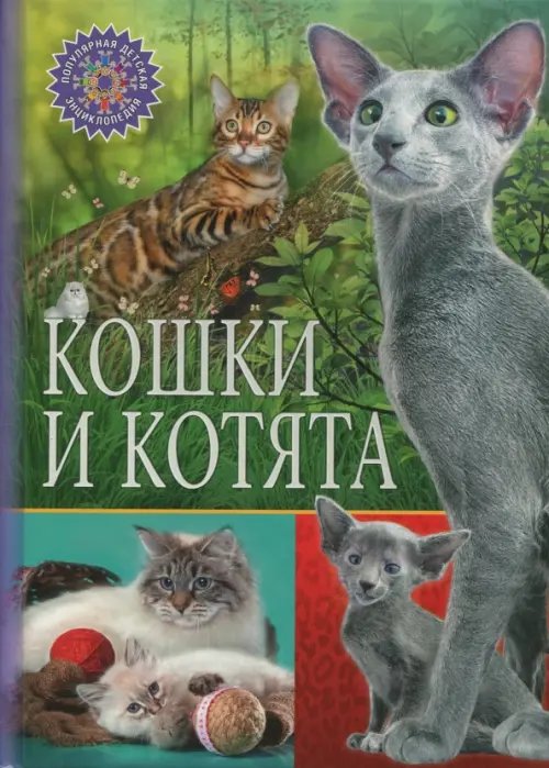 Кошки и котята