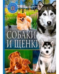 Собаки и щенки