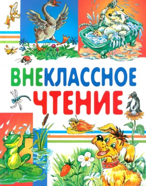 Внеклассное чтение