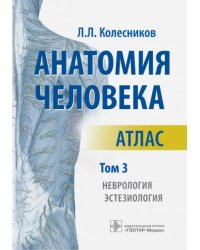 Анатомия человека. Атлас. В 3-х томах. Том 3. Неврология, эстезиология