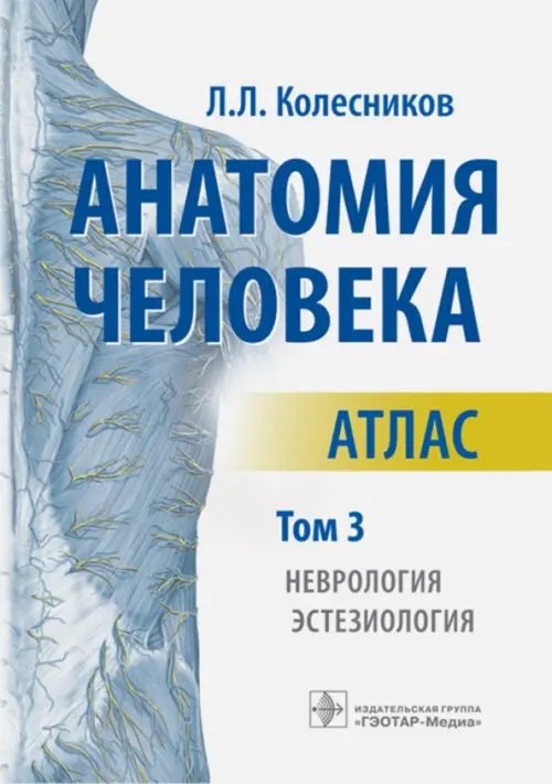 Анатомия человека. Атлас. В 3-х томах. Том 3. Неврология, эстезиология