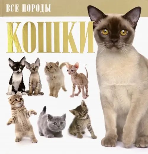 Кошки