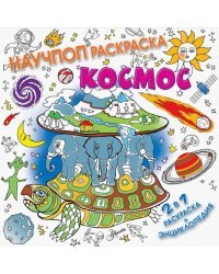 Космос