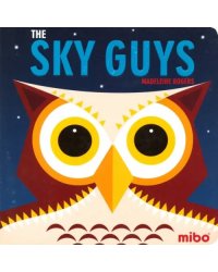 The Sky Guys