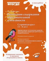 Реализация содержания образовательной деятельноти. 5-6 лет. Художественно-эстетическое развитие