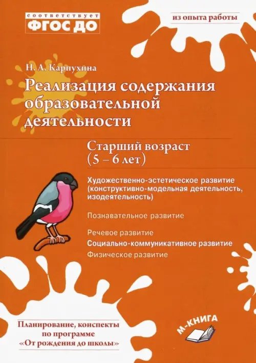 Реализация содержания образовательной деятельноти. 5-6 лет. Художественно-эстетическое развитие