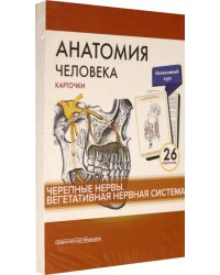 Анатомия человека.Черепные нервы. Карточки (26 шт)