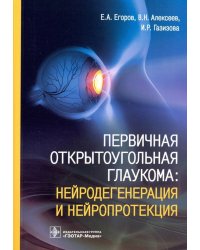 Первичная открытоугольная глаукома. Нейродегенерация и нейропротекция