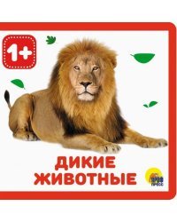 Дикие животные