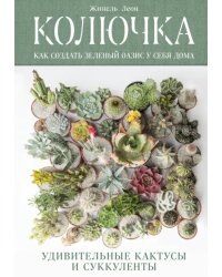 Колючка: как создать зеленый оазис у себя дома. Удивительные кактусы и суккуленты