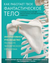 Как работает твое фантастическое тело