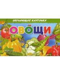 Овощи. Обучающие карточки