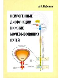 Нейрогенные дисфункции нижних мочевыводящих путей