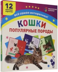 Самые популярные породы кошек: 12 карточек с изображением. ФГОС. ФГОС ДО