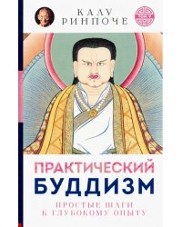 Практический буддизм. Простые шаги к глубокому опыту