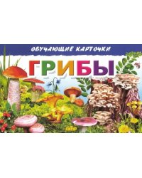 Обучающие карточки. Грибы