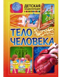 Тело человека