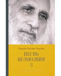 Песнь безмолвия. Книга 3