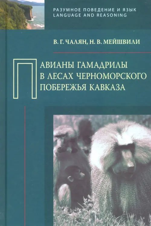Павианы гамадрилы в лесах Черноморского побережья Кавказа