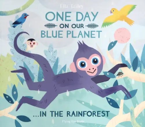 One Day On Our Blue Planet: In The Rainforest