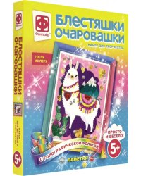 Аппликация с пайетками. Блестяшки очаровашки. Гость из Перу