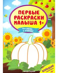 Что растет в огороде? Книжка с наклейками