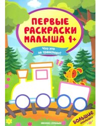 Что это за транспорт? Книжка с наклейками