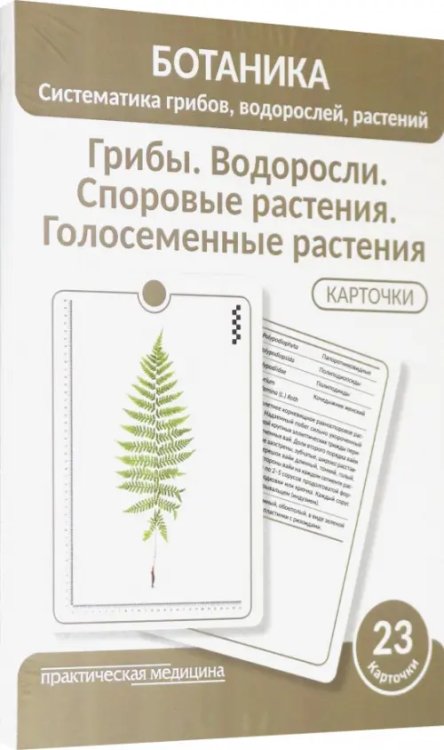 Ботаника. Систематика грибов, водорослей, растений. Грибы. Водоросли. Споровые растения. 23 карточки