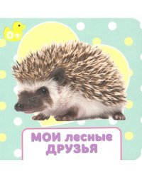 Мои лесные друзья