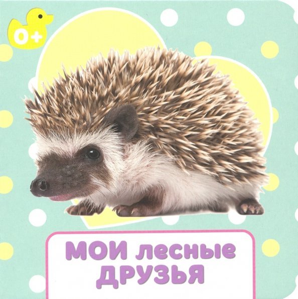 Мои лесные друзья