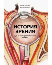 История зрения. Путь от светочувствительности до глаза