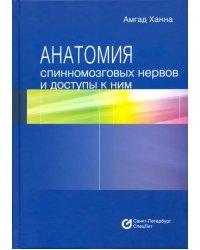 Анатомия спинномозговых нервов и доступы к ним