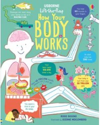 How Your Body Works