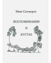 Воспоминания в кустах