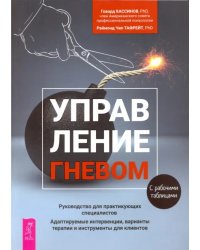 Управление гневом. Руководство для практикующего специалиста