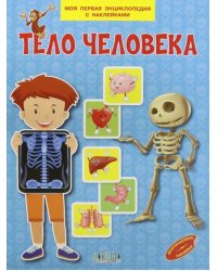 Тело человека