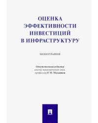 Оценка эффективности инвестиций в инфраструктуру. Монография