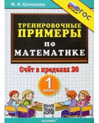 Тренировочные примеры по математике. 1 класс. Счёт в пределах 20. ФГОС