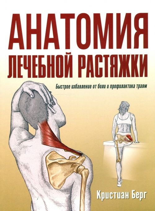 Анатомия лечебной растяжки. Быстрое избавление от боли и профилактика травм