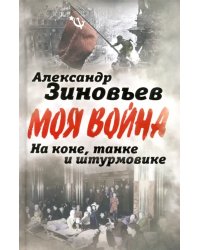 На коне, танке и штурмовике. Записки воина-философа