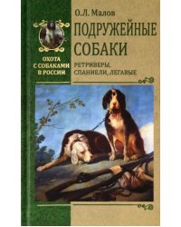 Подружейные собаки. Ретриверы, спаниели, легавые