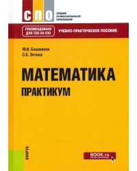 Математика. Практикум. Учебно-практическое пособие