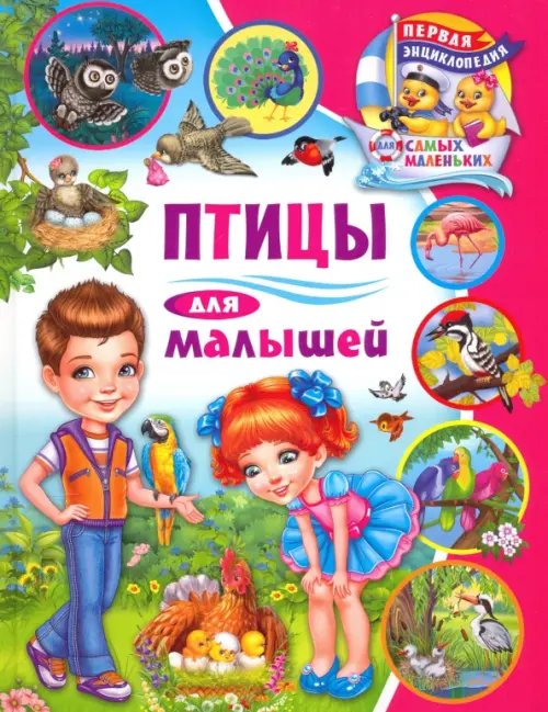 Птицы для малышей