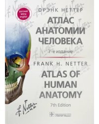 Атлас анатомии человека: терминология на русском, латинском и английском языках